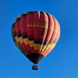 Meet your Posher, Alice